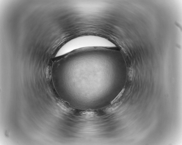 X0000093220428200710241220