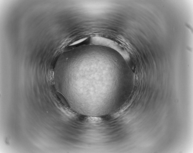 X0000093220429200710241220