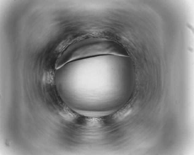 X0000093220432200710241220