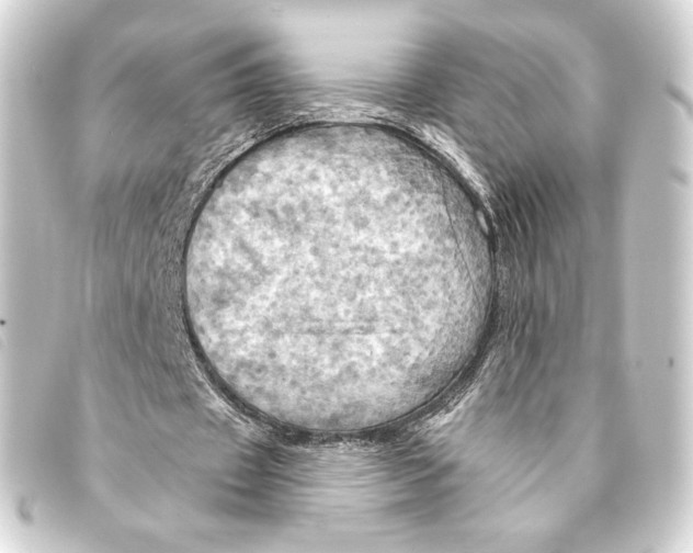 X0000093220433200710241219