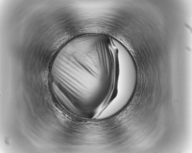 X0000093220434200710241219