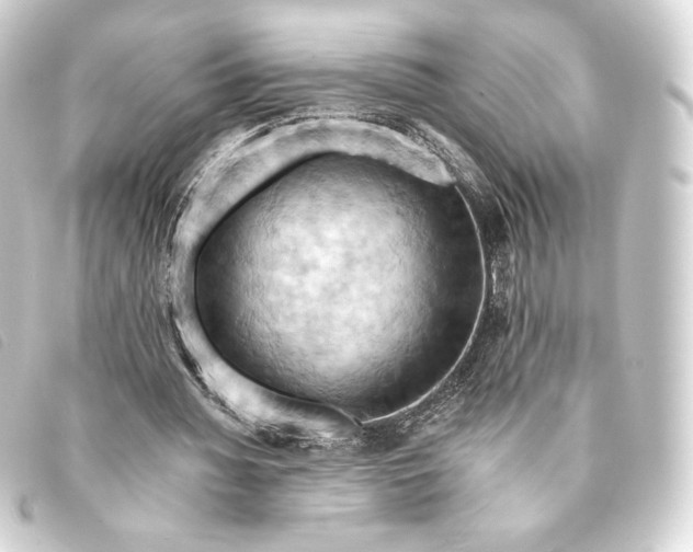 X0000093220436200710241219