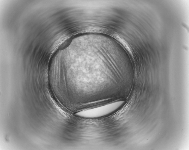 X0000093220437200710241219