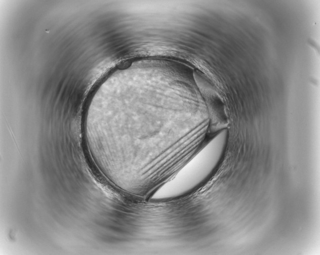 X0000093220438200710241219