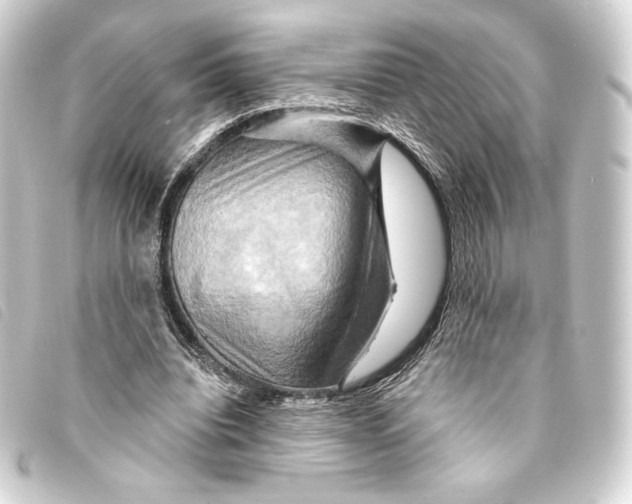 X0000093220440200710241219