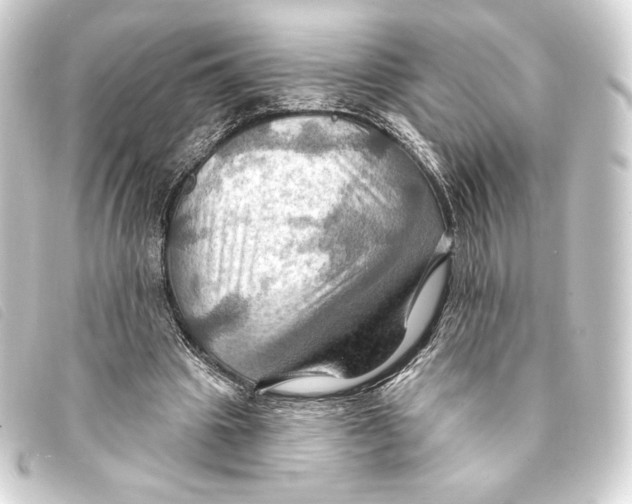 X0000093220441200710241219