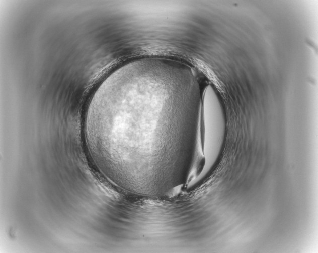 X0000093220442200710241219