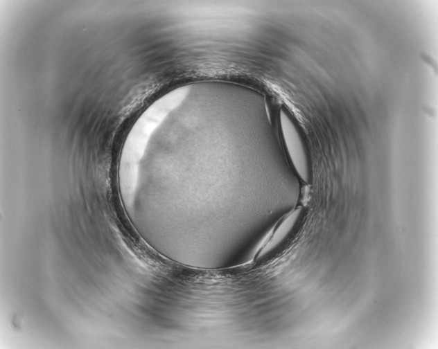 X0000093220443200710241219