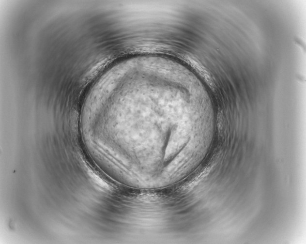 X0000093220445200710241219