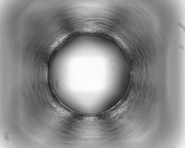 X0000093220446200710241219