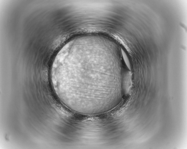 X0000093220447200710241219