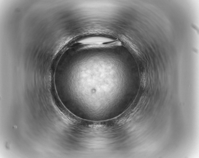 X0000093220448200710241219