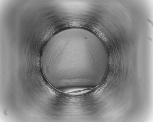 X0000093220449200710241219