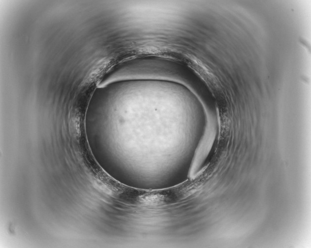 X0000093220452200710241219