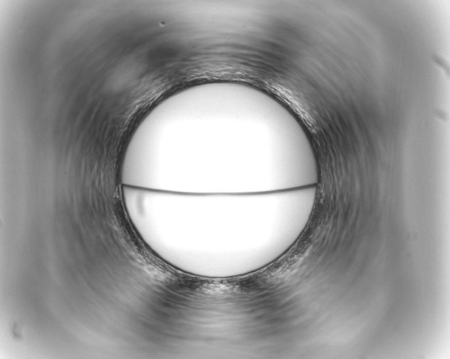 X0000093220453200710241219