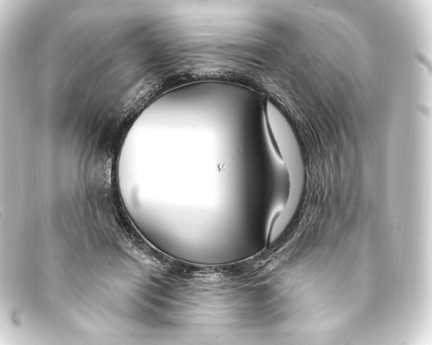 X0000093220454200710241219