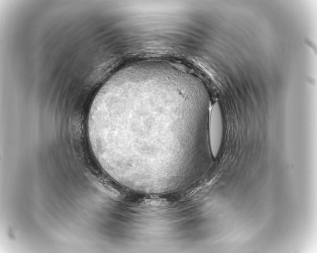 X0000093220455200710241219