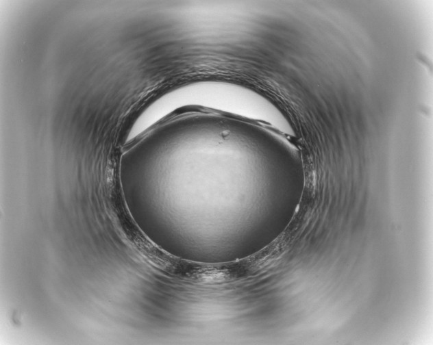 X0000093220456200710241219