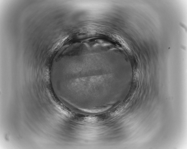 X0000093220457200710241219