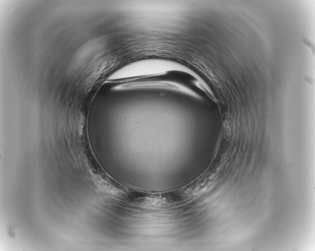 X0000093220458200710241219