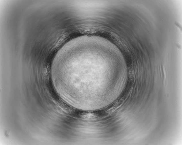 X0000093220460200710241219