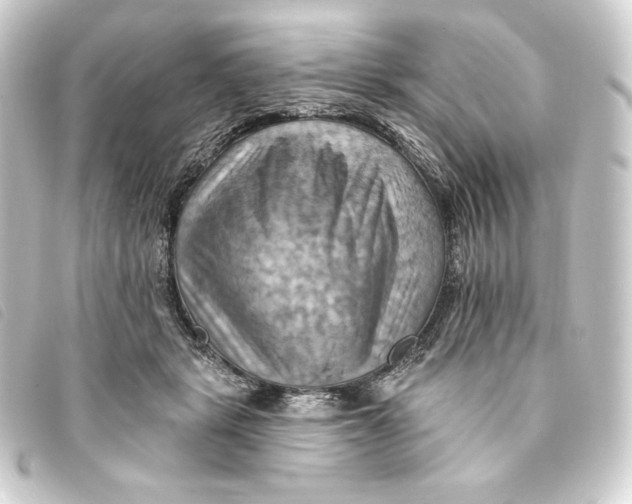 X0000093220461200710241220