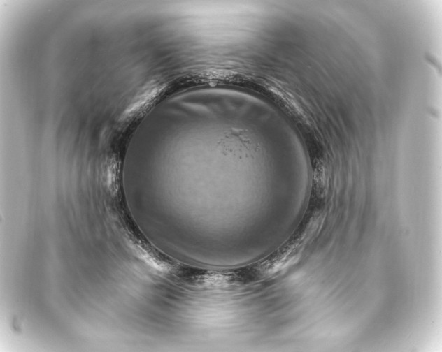 X0000093220462200710241220