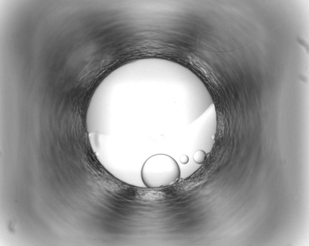 X0000093220463200710241220