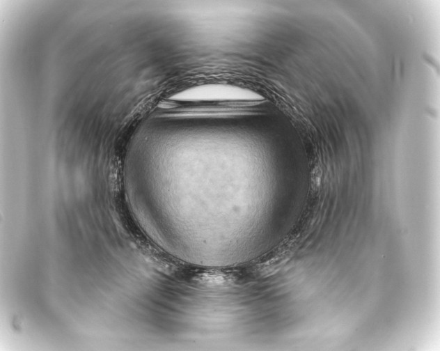 X0000093220464200710241220