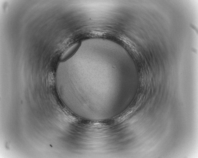 X0000093220467200710241220