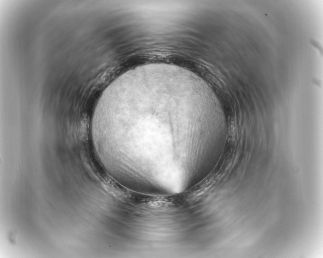 X0000093220468200710241220