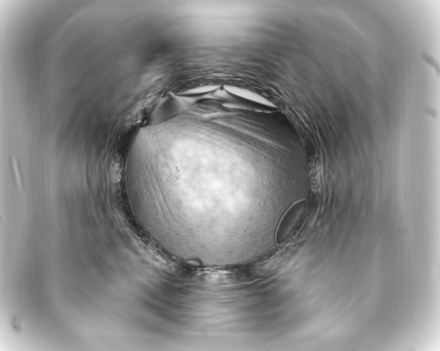 X0000093220472200710241220