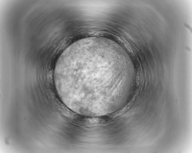 X0000093220473200710241220