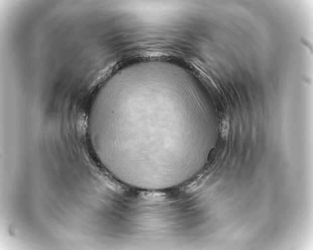 X0000093220476200710241220