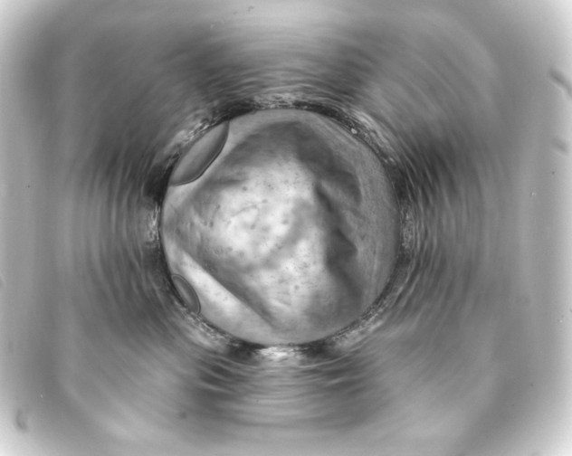 X0000093220477200710241220