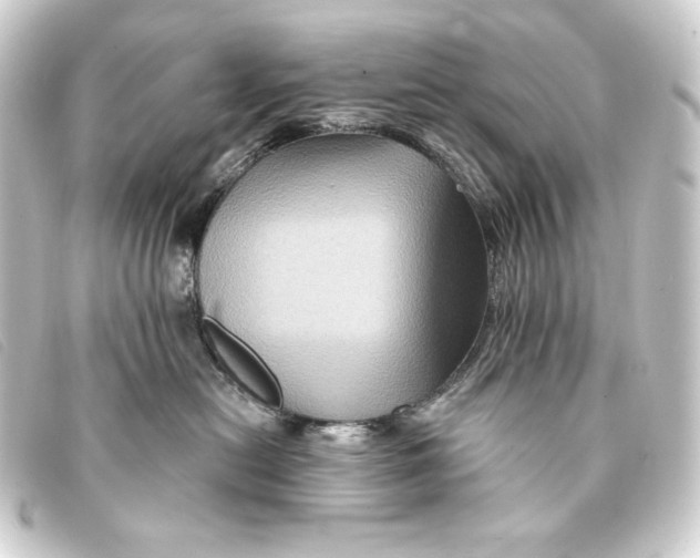 X0000093220478200710241220