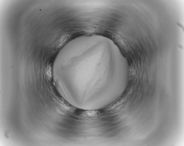 X0000093220479200710241220