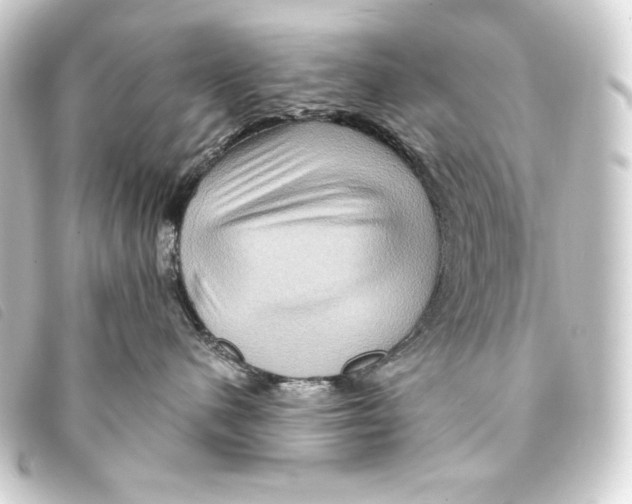 X0000093220480200710241220