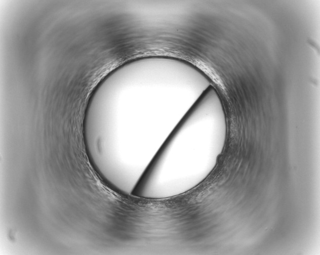 X0000093220481200710241219