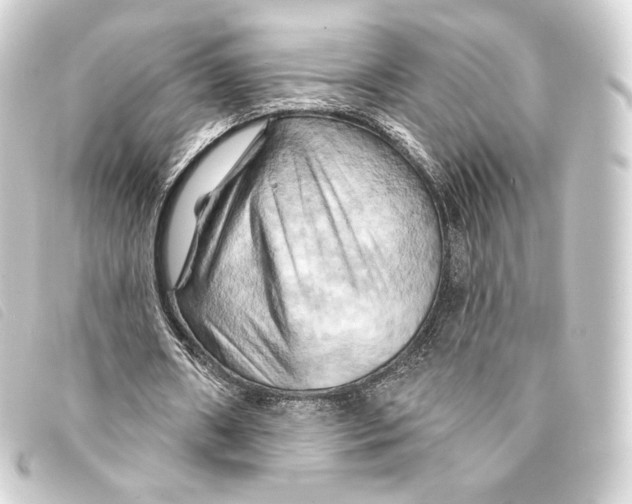 X0000093220482200710241219