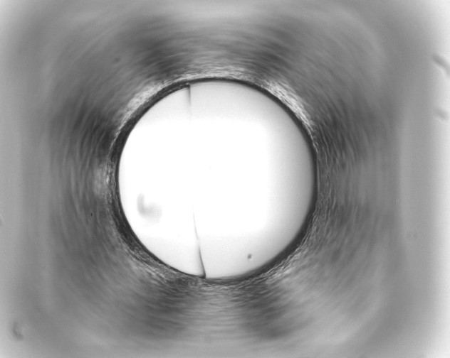 X0000093220483200710241219