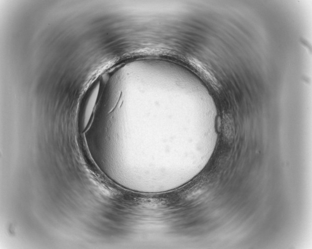 X0000093220486200710241219