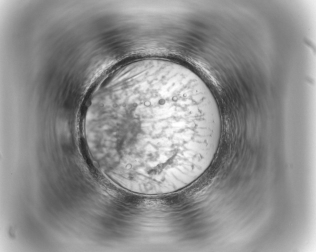 X0000093220487200710241219