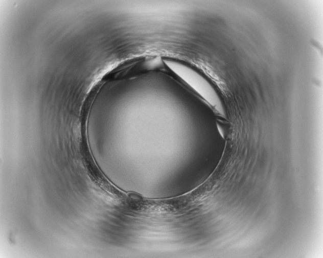 X0000093220488200710241219