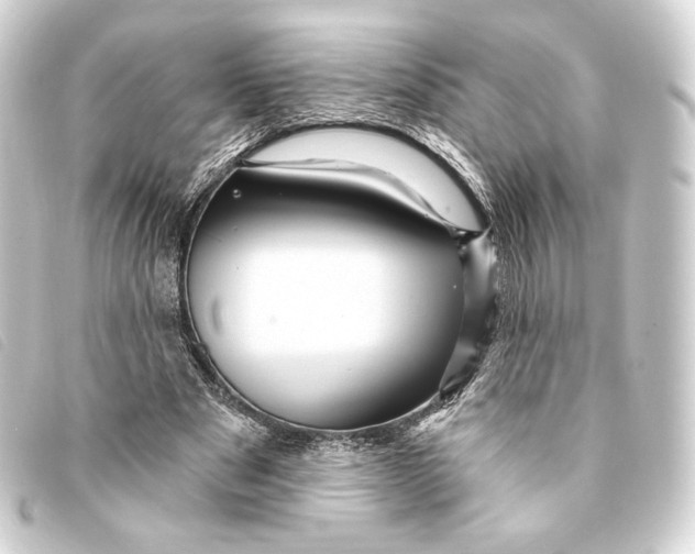 X0000093220489200710241219