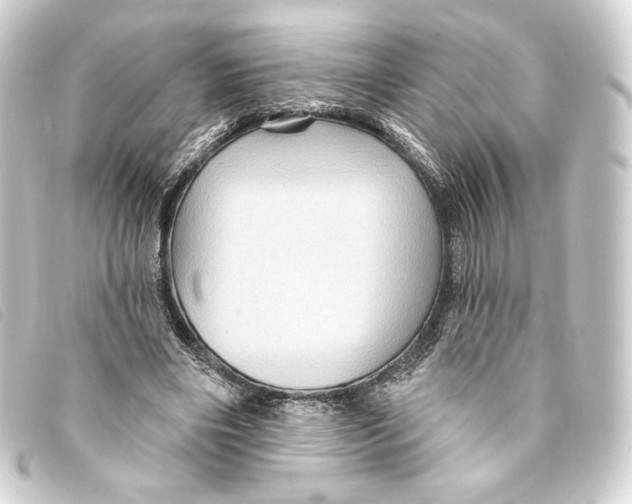 X0000093220490200710241219