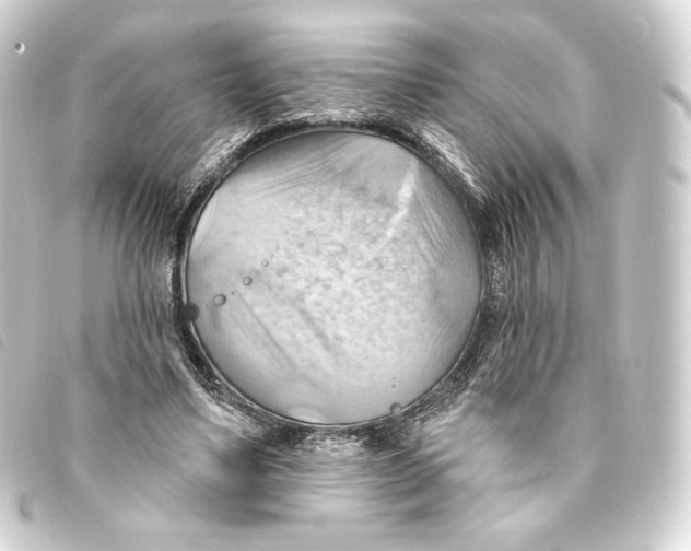 X0000093220491200710241219