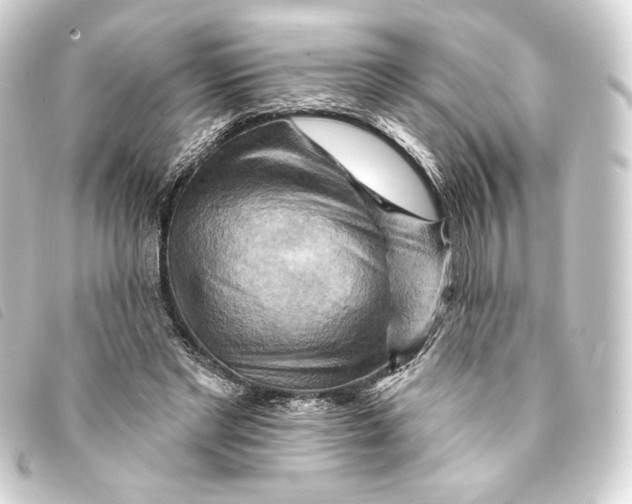 X0000093220493200710241219