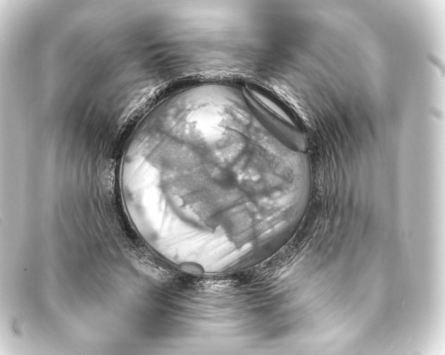 X0000093220495200710241219