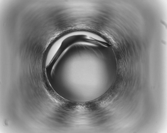 X0000093220496200710241219